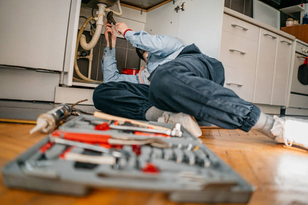 Best Pipe Repair Near Me  in Albany, MN