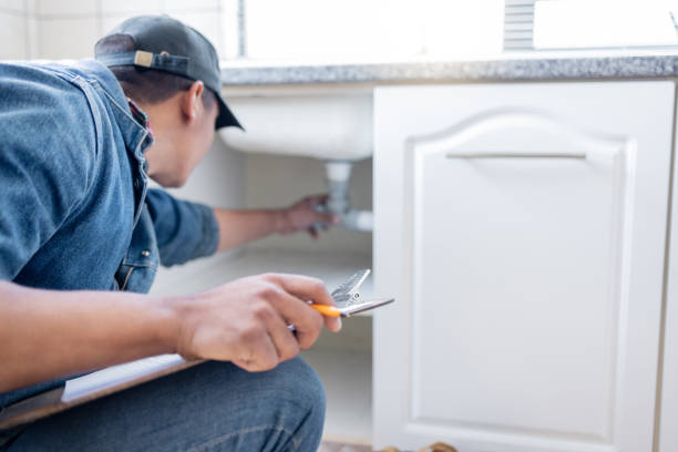 Best Shower Repair Services  in Albany, MN