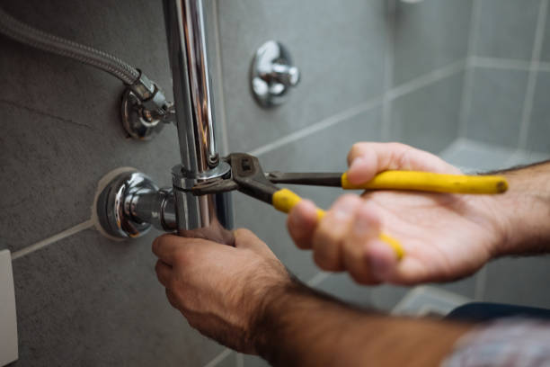 Best Local Plumber Services  in Albany, MN