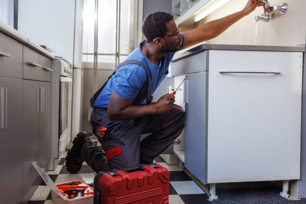 Best Affordable Plumbing Services  in Albany, MN